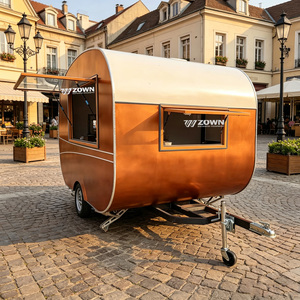 Chariot alimentaire robuste et écologique à faible consommation d'énergie, remorque mobile de concession pour les startups de restauration de rue - Product Image 1