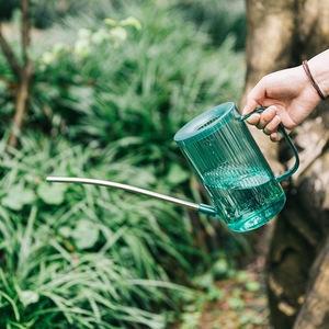 Arrosoir en plastique transparent avec long bec pour l'entretien des plantes d'intérieur et d'extérieur, vert Pittosporum, ambre, marron, gris étoilé - Product Image 2