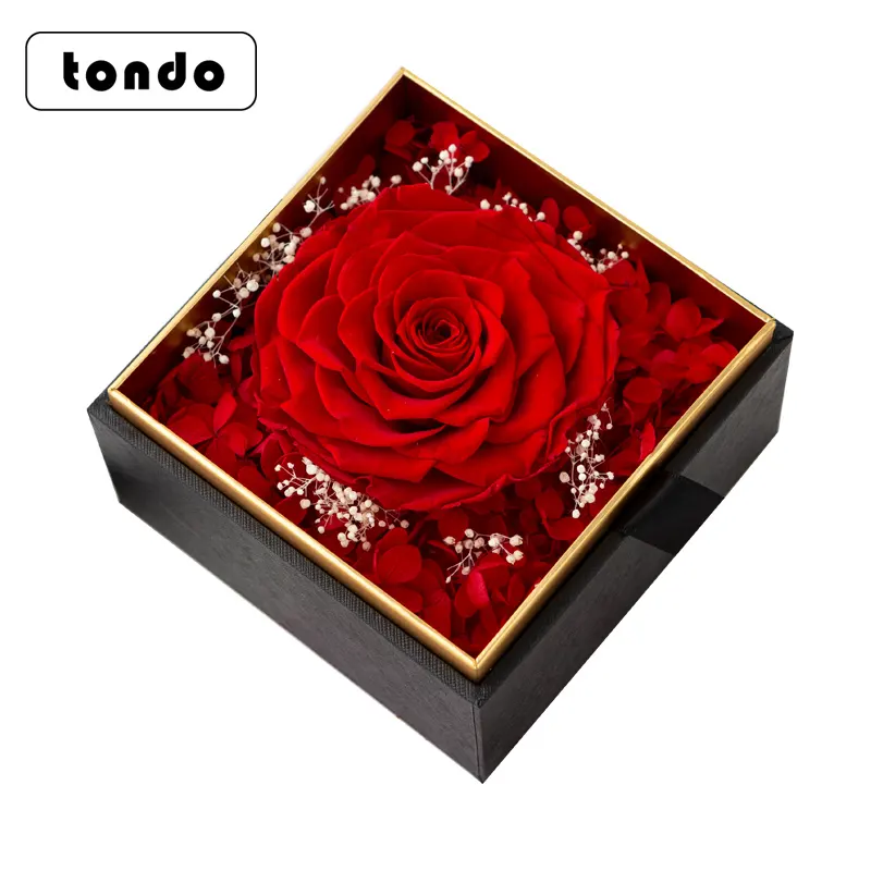 Roses éternelles conservées dans une boîte, 7/lot, fausses fleurs, pour la saint-valentin, pour un cadeau de vœux