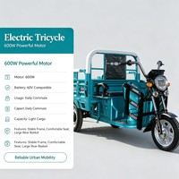 Kart électrique tout-terrain 750W 48V pour adultes avec batterie 20Ah, moteur BLDC, transmission par arbre, buggy des dunes, utilisation en extérieur, 70 km/h, charge 200 kg