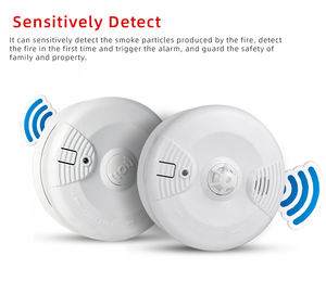 アセンウェア ワイヤレス 4 ゾーン従来型火災報知器制御盤 LoRa ワイヤレス接続 - Product Image 3