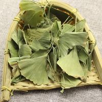Ginkgo-Blatt