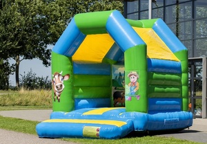 Calabaza <span class=keywords><strong>casa</strong></span> inflable gorila inflable <span class=keywords><strong>Casa</strong></span> de almacenamiento inflable <span class=keywords><strong>con</strong></span> piscina - Product Image 2