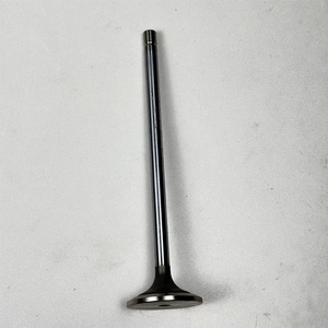 Valve d'échappement R520224 compatible avec 9780I Cts C670 CH570 CH670 E400 R4045 - Product Image 3