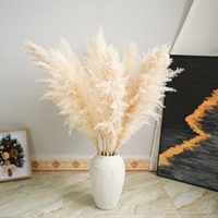 Roseaux secs naturels et herbe de la pampa pour décorations de mariage, décoration de maison de style bohème, approvisionnement direct du fabricant