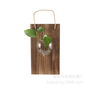 Seeking Excellence Flower Shape Glass Hanging <b>Vase</b> For Hydroponic Plants Wall Mount Decor - Product Image 2
