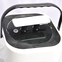 Generatore di Vapore per Sauna Portatile Moderno Brevettato in Acciaio Inox con Telecomando Capacità 2L per Uso in Appartamento Macchina SPA