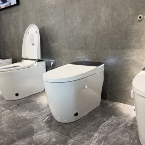 P-Trap Smart <strong>Bidet</strong> <strong>Toilet</strong> Set Floor Mounted Electric Ceramic Heated <strong>Seat</strong> <strong>with</strong> Remote Control Drainage Included - Product Image 1