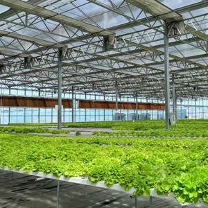 Système hydroponique NFT à canaux pour culture de fraises et de laitues, avec support pour plantes - Product Image 4