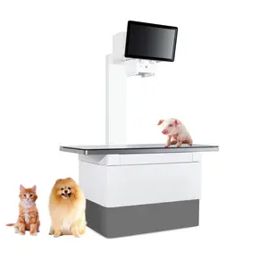 32kw Veterinary DR Floor-mounted Digital Radiography System Animals Digital Xray Machine With Big Screen