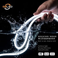 Tira de Neón Flexible IP67 de 12V 1212 120LEDs/M 3000K 4000K 6000K, Silicona Flexible para Paisajismo, Hoteles, Señalización, CE RoHS
