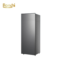 Congélateur coffre électrique personnalisé en Chine, usage domestique/hôtelier/commercial, 160L, mini congélateur vertical à porte supérieure unique, prix