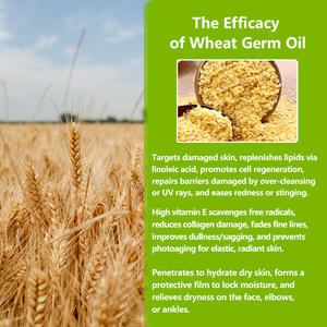 น้ำมันจมูกข้าวสาลีสกัดเย็นบริสุทธิ์น้ำมันจมูกข้าวสาลีสกัดบริสุทธิ์จากพืชธรรมชาติน้ำมันจมูกข้าวสาลีสำหรับดูแลผิวต่อต้านริ้วรอย - Product Image 5