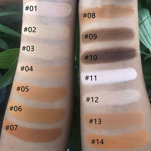 Toptan yağ kontrolü makyaj kapatıcı tam kapsama sıkıştırılmış toz su geçirmez yüz özel etiket preslenmiş toz puf ile - Product Image 6