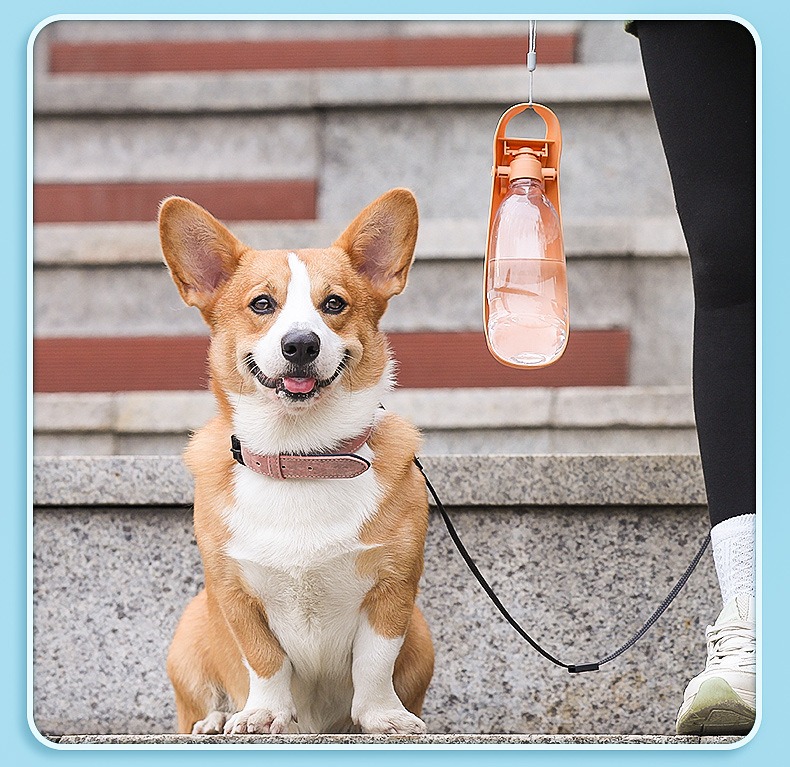 JOYPET New Release Outdoor Portable Pet Dog Cat Water Bottle Feeder Orange Blue Grey