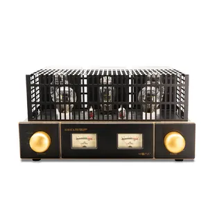 מכירה חמה מיני גודל 2*12w Hi-fi אודיו סטריאו מגבר צינור ואקום