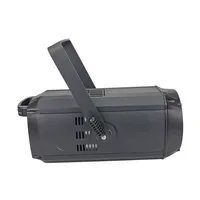 300W LED ZOOM COB PAR Light