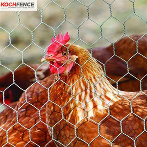 Nhà sản xuất dây lưới CuộN lục giác dây lưới lưới cho gà lồng Coop hàng rào - Product Image 6