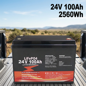 Batterie LiFePO4 24V 100Ah 2,56 kWh à décharge profonde avec BMS Bluetooth pour stockage d'énergie domestique et sauvegarde - Product Image 1