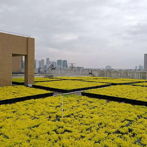 Plateau pour plantes en Hdpe, plateau en plastique, pour le toit de la <span class=keywords><strong>terrasse</strong></span> ou du jardin, pour l'extérieur - Product Image 6