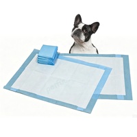 Tapis d'entraînement jetables imperméables SAP pour chiens, avec support adhésif pour placement fixe, antidérapants, meilleur prix fabricant