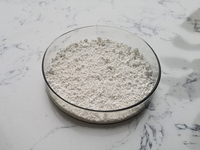 Extrait de peau de pomme de qualité cosmétique Phloretin 98% Phlorizin
