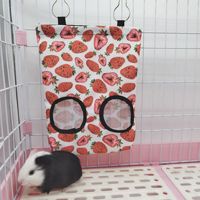Mangeoire de stockage de distributeur de foin de lapin suspendu pour lapins cochons d'inde Hamsters Chinchillas bols pour animaux de compagnie et sac de mangeoires