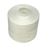Fil à coudre en polyester filé à âme poly, blanc brut, torsion TFO 12/2 16/2 29/2 40/2 45/2 48/2 55/2 60/2