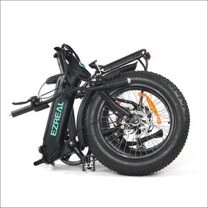 Petit vélo électrique pliant portable <span class=keywords><strong>Ezreal</strong></span> FD03 le plus vendu avec cadre caché de moteur Bafang de batterie au lithium de 48V 10.4Ah - Product Image 3
