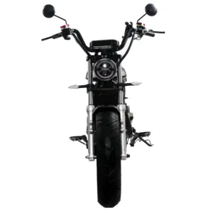 Citycoco 2000w 2 ruote larghe moto elettrica ruota larga 60v 45ah batteria rimovibile ciclomotore mobilità golf per adulti