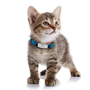 Étiquette d'identification pour animaux de compagnie en silicone durable, personnalisable et légère, avec un design moderne et coloré, anti-perte pour chiens et chats - Product Image 4