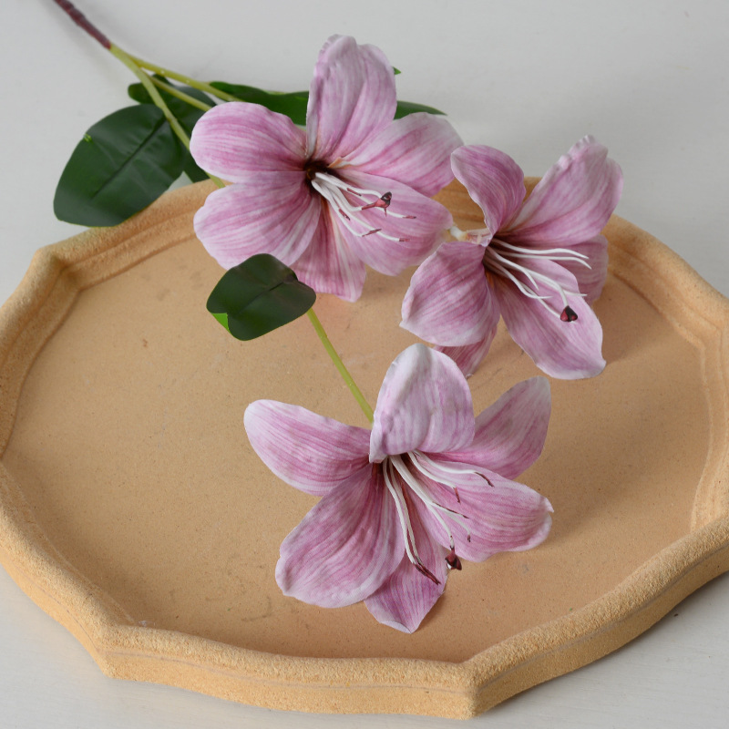 Giglio Hemerocallis viola chiaro