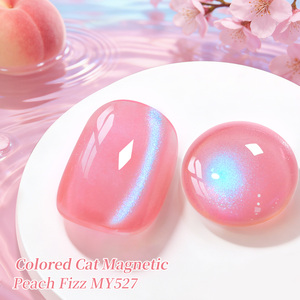 BORN PRETTY TPO-Vernis à Ongles Magnétique en Gel, Sans HEMA, avec Logo Personnalisé, Gelée, Rose et Bleu - Product Image 3