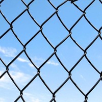 Treillis métallique enduit de PVC galvanisé YC clôturant la barrière de maillon de chaîne de rouleau de 100 pieds pour la clôture de terrain de baseball et softball