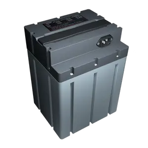 Nouvelle batterie au lithium de la batterie 48V 20Ah de véhicule électrique standard national