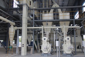 Rongda automatisation à faible coût 5 t/h moulin à granulés de bois pour fabriquer des granulés de bois à vendre - Product Image 4