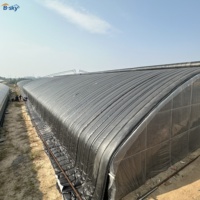 Produsen Rumah Kaca Terisolasi 9x30m Ukuran Kustom untuk Sayuran Musim Dingin, untuk Proyek Pertanian Komersial