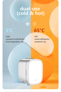 Réfrigérateur de maquillage portable en gros Dc Ac Cosmetics Mini Fridge Small Refrigerator Mini Fridge for Car House Use - Product Image 5