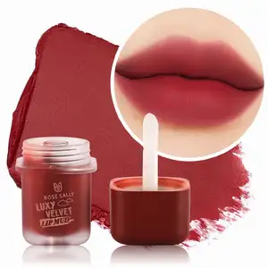 All in One Bio-Make-up Wasserdichtes flüssiges mattes Lippenstift-Kit Vegan Langlebiges Private Label Soulmatt Velvet Lip Mousse