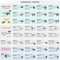 Wholesale Ergonomic Ergo Dental Headband Loupes with LED Surgical Loupes for Surgeons Neurosurgery Medical Binocular Magnifier