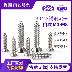 Tornillos autorroscantes de acero inoxidable Bengu M2 M3 M4 con cabeza Phillips avellanada para la industria de la construcción - Product Image 5