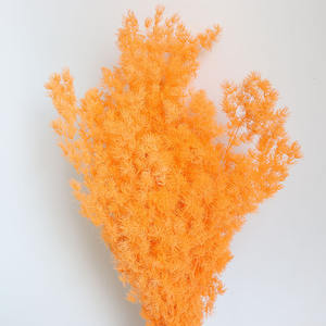 <span class=keywords><strong>Helechos</strong></span> de Helecho Ming Bohemios, <span class=keywords><strong>Helechos</strong></span> Preservados, Ramas Secas Naturales, Ecológicas, Hechas a Mano, para el Día de San Valentín, Año Nuevo Chino, Campamentos y Alojamientos - Product Image 3