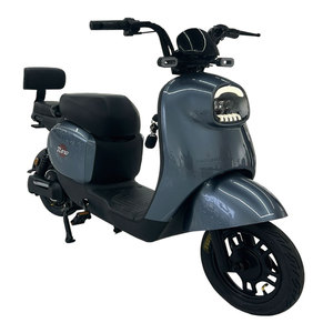 Bicicleta Eléctrica de Alta Calidad para Adultos con Motor de 500W, Batería de Plomo-Ácido de 48V y Cuadro de Acero - Product Image 1