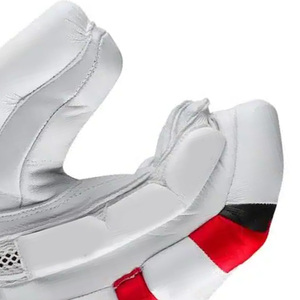 Gants de frappe de cricket pour hommes de qualité professionnelle, design personnalisé, cuir écologique, fermeture à boucle, légers - Product Image 6