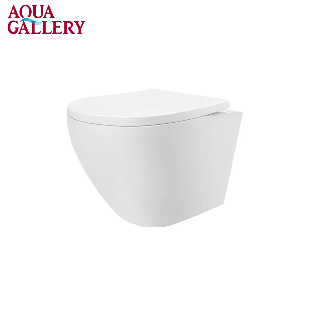 CTW003 Nieuwe Collectie Dual Flush Aaa Grade Wandmontage Keramische Toilet Seat