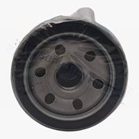 Filtre à huile 9025229 JX0605C1 529041906 Z212 1012100-C03 E4W1243000001 pour SAIC MG 7 ZS RAVON Baojun 510 Roewe RX5