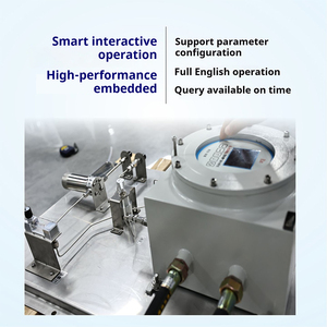 Analizador de Gases Múltiples a Prueba de Explosiones Runlai Reliable E500Ex, Detector de Gases Personalizable para O2, CO, CO2, CH4, CnHm, H2S, CO, NH3 - Product Image 3