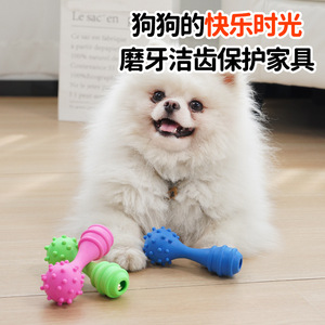 Jouet à mâcher pour chien, balle en ruban TPR, durable, pour le nettoyage dentaire, petite taille, pour l'intérieur - Product Image 2