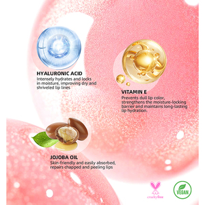 Set di Tinta e Lucidalabbra a Lunga Durata con Etichetta Privata, con Matita Abbinata per Definizione e Lucentezza delle Labbra - Product Image 4