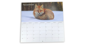 Calendario Perpetuo da Scrivania Stile Semplice: Essenziale per l'Ufficio, Supportato dal Produttore Come Regalo Promozionale - Product Image 1